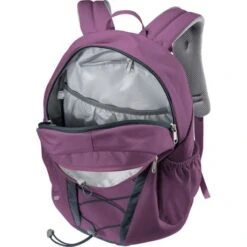 Deuter Gogo 25 L Backpack Currant Redwood -Eastpak Verkoop deuter 3813221 5334 gogo plum ink d 06 1