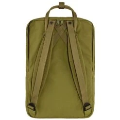 Fjallraven Fjällräven Kanken Laptop 17" Rugzak Foliage Green -Eastpak Verkoop foliagegreen17 kanken 3